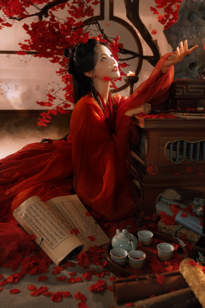 安家 封面